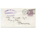 1881 cover - 1d lilac with "Posted on Board/Edinburgh Castle/ Steamer" handstamp.